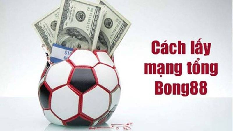 Cách lấy mạng bong88 dễ dàng