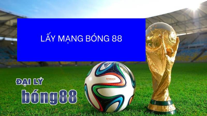 Để lấy mạng tổng bong88 cần lưu ý điều gì?