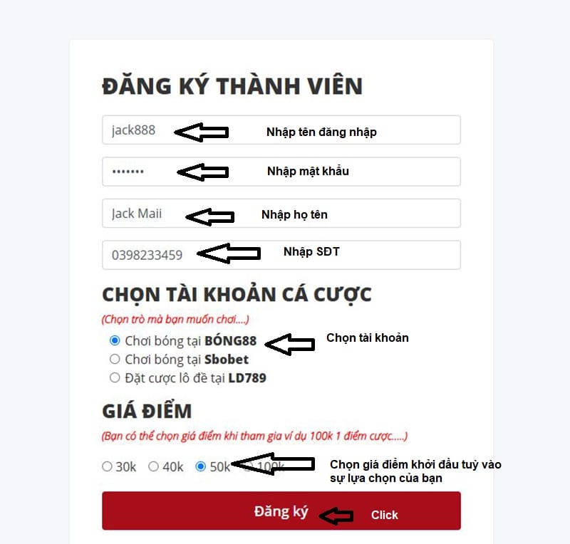 Điền thông tin chi tiết như mẫu