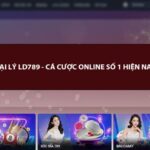 Đại lý LD789 – nhà cái lô đề online uy tín số 1 hiện nay