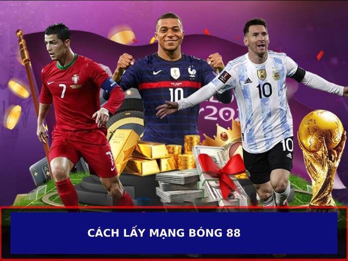 Hướng dẫn cách lấy mạng tổng bong88 có thể bạn chưa biết