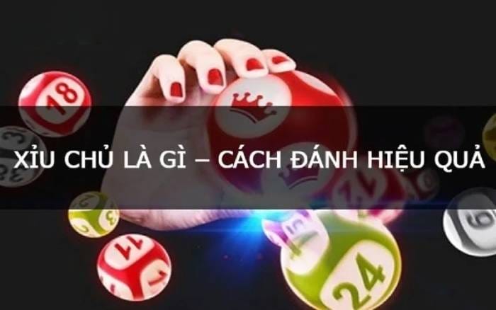 Cách chơi xỉu chủ dễ dàng và hiệu quả